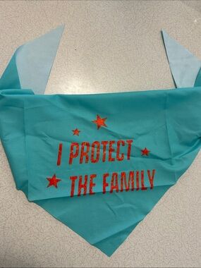 Swiftie Dog Bandana I Protect The Family Father Figure Lyrics Taylor Swift TLOAS